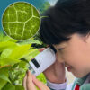 Inovatívny prenosný mini mikroskop pre deti s LED svetlom Užsisakykite Trendai.lt 47
