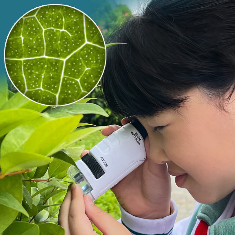 Inovatívny prenosný mini mikroskop pre deti s LED svetlom Užsisakykite Trendai.lt 14