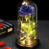 Dekoratívna lampa Svetelná ruža v skle Užsisakykite Trendai.lt 56