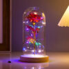 Dekoratívna lampa Svetelná ruža v skle Užsisakykite Trendai.lt 51