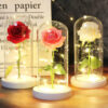 Dekoratívna lampa Svetelná ruža v skle Užsisakykite Trendai.lt 48
