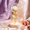 Dekoratívna lampa Svetelná ruža v skle Užsisakykite Trendai.lt 58